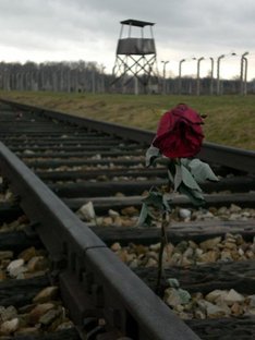 Errinnerung an die Opfer von Ausschwitz/Birkenwald