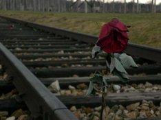 Errinnerung an die Opfer von Ausschwitz/Birkenwald